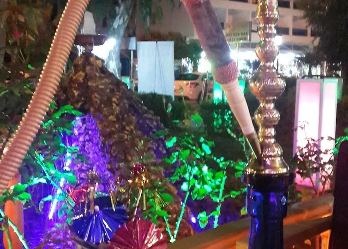 شقة فندقية بالمين الفندقية