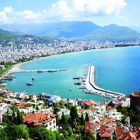 Palmen Alanya