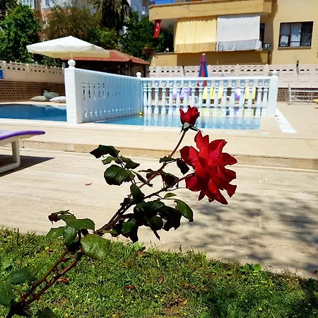 Apart Otel Palmen Alanya