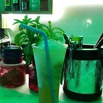 Palmen