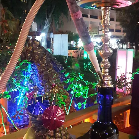 Palmen Alanya