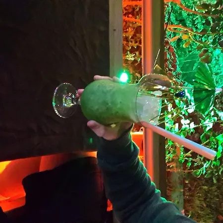 Palmen Apartahotel Alanya